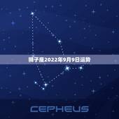 狮子座2022年9月9日运势，狮子座十月九日运势
