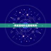 鸡宝宝和什么属相克吗，属兔的忌什么属相