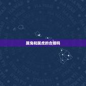 属兔和属虎的合婚吗，兔与虎的婚姻是否相配