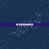 猪马属相能婚配吗，属猪的和属马的配么 详细�0�3