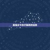 属兔女今日打麻将的运势，属兔今天打麻将能赢吗？