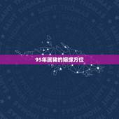 95年属猪的姻缘方位，1995年属猪婚姻正缘什么时候来到