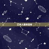 乙木人遇辛丑年，乙木日主辛丑年运势