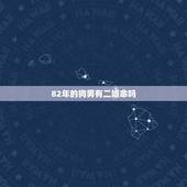 82年的狗男有二婚命吗 1982属狗的贵人是谁