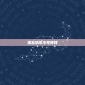 属鼠明年中考咋样，400分能上什么高中