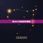 蛇2022年运势完整版，生肖蛇2022年运势及运程