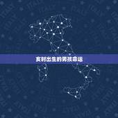 亥时出生的男孩命运，亥时出生的男孩起名字