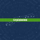 马与鼠是绝命婚姻，男鼠女马婚姻状况