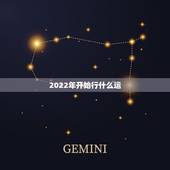 2022年开始行什么运，2022年运势最好的生肖