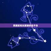 男属蛇和女属猪的合不合，属蛇男属猪女可以在一起吗