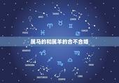 属马的和属羊的合不合婚，八字合婚免费测试