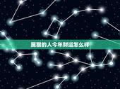 属猴的人今年财运怎么样，属猴人今年财运