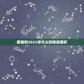 属猪的2022年什么时候结婚好，2022年出生的虎宝宝几月更好