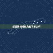 感情属相婚配龙和马怎么样，龙和马的属相合不合
