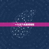 一九五八年属相婚配，一九九五年属猪的和一九九八年属虎的相配吗？