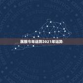 属猴今年运势2021年运势，2021年属猴男的运势和财运