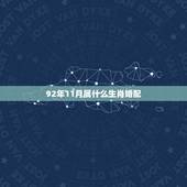 92年11月属什么生肖婚配，1992属猴的属相婚配表
