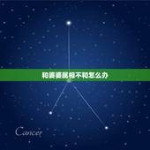 和婆婆属相不和怎么办，和婆婆不合怎么办