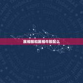 属相猴和属相牛般配么，属猴的和属牛的婚姻如何