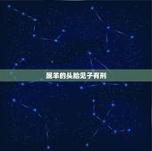 属羊的头胎见子有刑，羊的刑冲克害