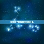 家里四个属相旺三代是什么，家中有哪两个生肖组合必富贵