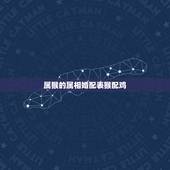 属猴的属相婚配表猴配鸡，属兔的女人和什么属相最般配