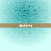 鸡和兔合不合，属鸡与属兔合不合