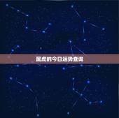 属虎的今日运势查询，属虎的人今天运气如何