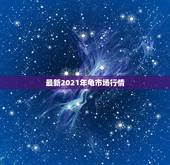 最新2021年龟市场行情，深山野生的大头龟市场价格