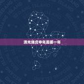 清光绪戊申年是哪一年，光绪戊申年是公元哪一年