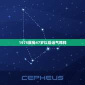 1975属兔47岁以后运气咋样，75年属兔何时走大运