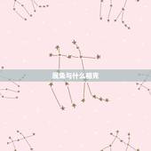 属兔与什么相克，属兔忌配什么生肖