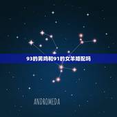 93的男鸡和91的女羊婚配吗，女91年属羊与男93年属鸡的配吗