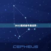 2022属虎金牛座运势，金牛座2022年运势