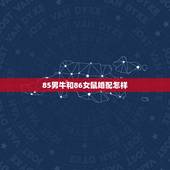85男牛和86女鼠婚配怎样，85年属牛男和86年属虎女相配吗？
