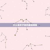 什么是双子座的最佳婚配，双子座的最佳配偶是什么星座？