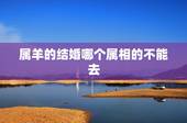 属羊的结婚哪个属相的不能去，属羊的结婚什么属相不能送嫁？