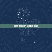 属蛇的2021年会离婚吗，2021年属蛇人的全年运势男性