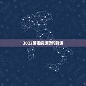 2022属猪的运势和财运，1995年属猪的人财运
