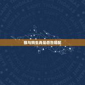 猴与狗生肖是否合婚配，更佳生肖婚配表