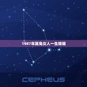 1987年属兔女人一生婚姻，1987年属兔的命运和婚姻怎么样？
