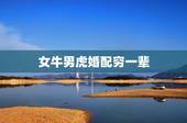 女牛男虎婚配穷一辈 牛男虎女婚配怎么样