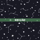 家养什么龟好，家里养哪种乌龟比较好