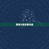 紫微斗数夫妻合盘，求紫微斗数合盘