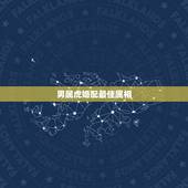 男属虎婚配最佳属相，男属虎最佳婚配属相