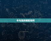 牛与龙的婚配如何，牛与龙属相合不合