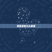 属鼠忌配什么属相，属相牛和什么属相配