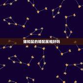 猪和鼠的婚配属相好吗，属相婚配属猪配属鼠