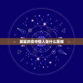 属鼠的命中情人是什么属相，属鼠的人适合找什么属相