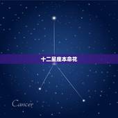 十二星座本命花 十二星座的水晶婚纱